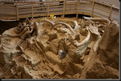 Mammoth dig site